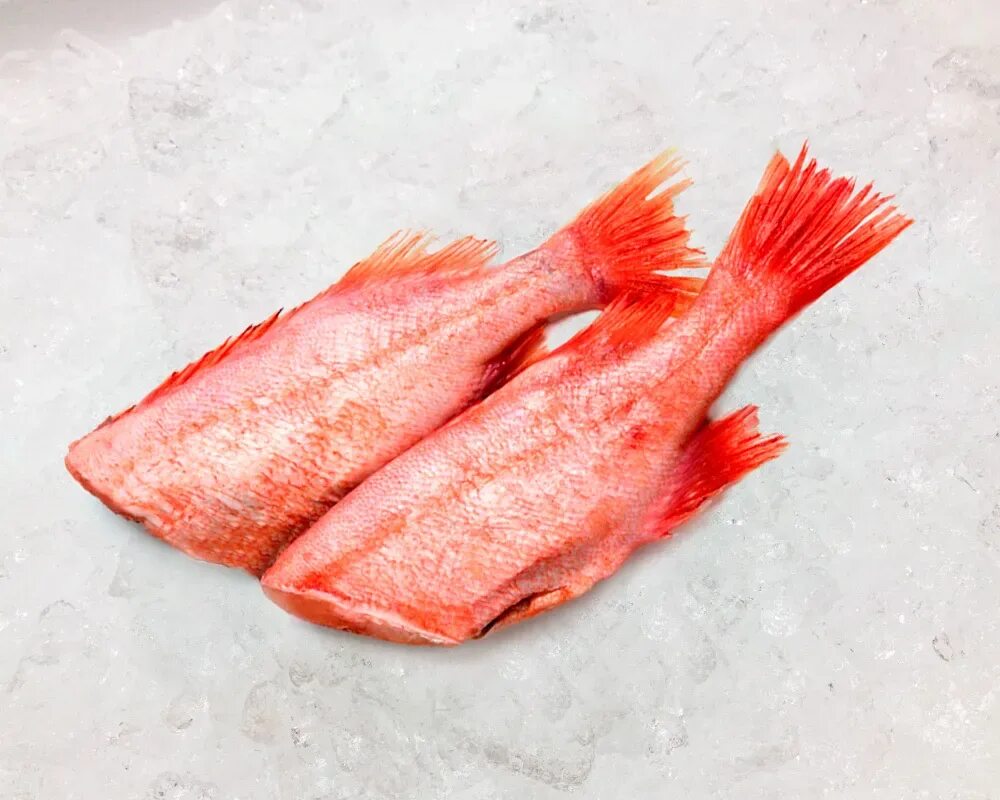 Окунь морской фото и описание Окунь морской без головы замороженный 500 г купить в Москве, цены в интернет