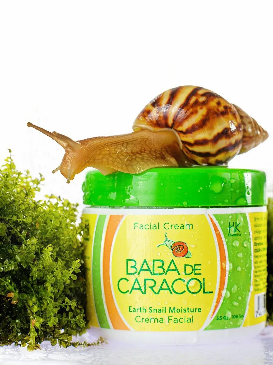 Крем слизь улитки. Baba de Caracol крем для лица. Крем Baba de Caracol из Доминиканы. Baba de Caracol крем для лица со слизью улитки из Доминиканы. Крем Karla Cosmetics Baba de Caracol.