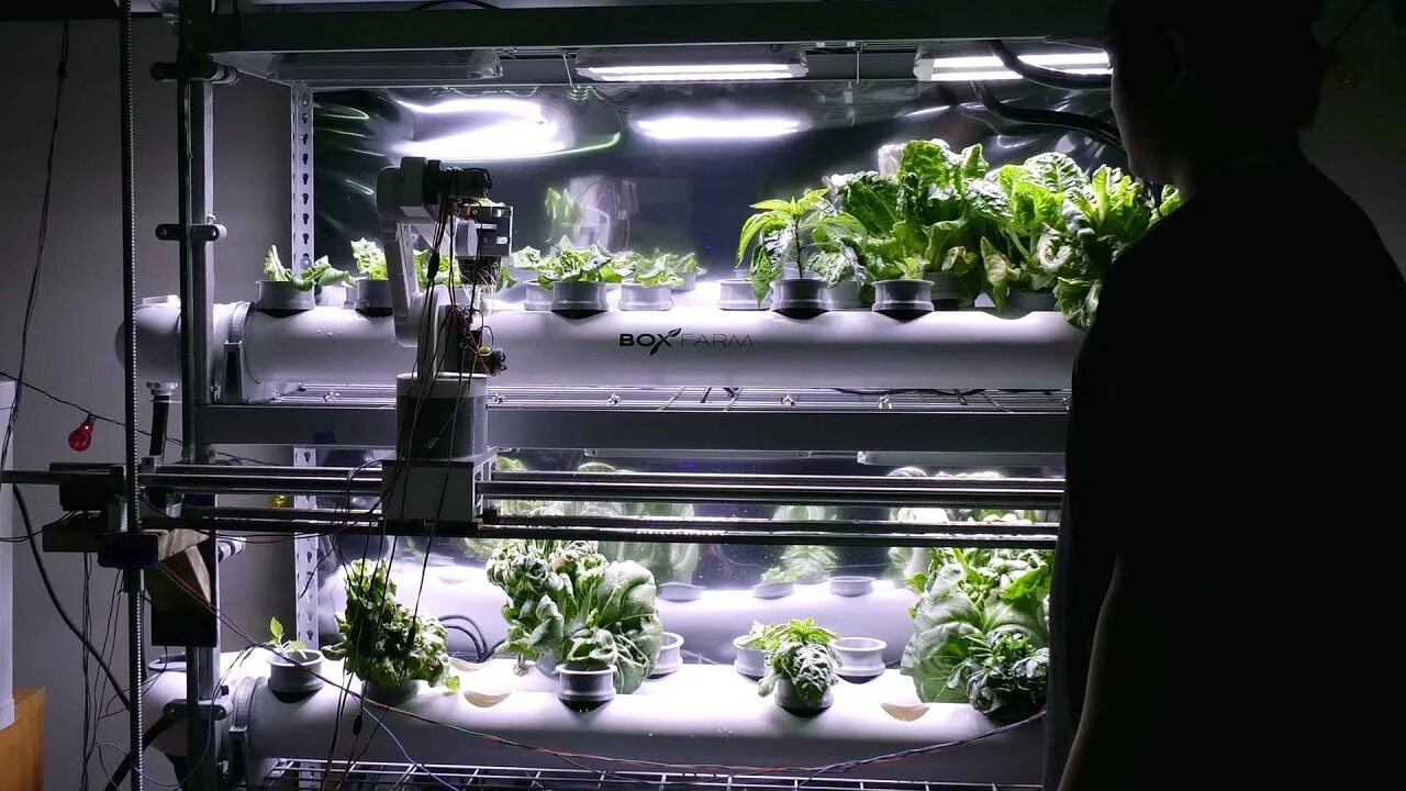 Днфт гидропоника. Растения на мкс. Космическая теплица. Оранжерея в космосе. Оранжерея на космической станции.