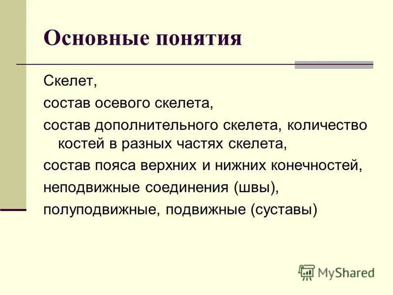 Внутренний скелет состоит из