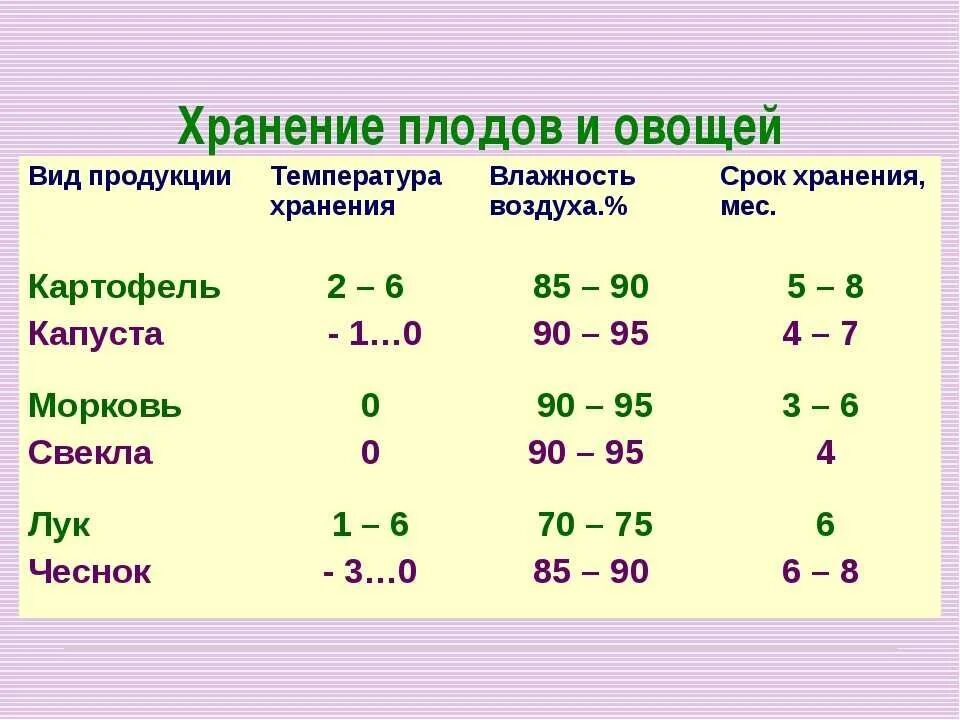 Температура хранения овощей. Срок хранения картофеля. Температурный график хранения картофеля. Срок хранения условия хранения овощей. Температура хранения фруктов