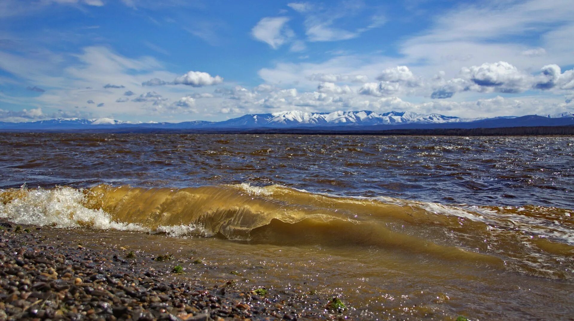 Амур в какое море. Дельта реки Амур. Хабаровск река Амур берег. Берег реки Амур. Река Амур река.