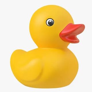 Duck duck images