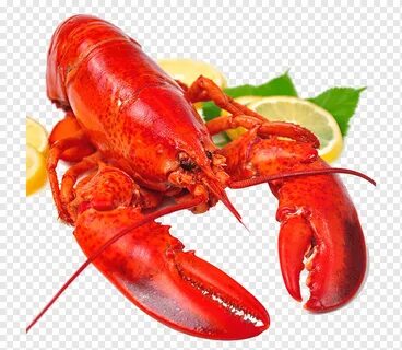 Красные морепродукты
