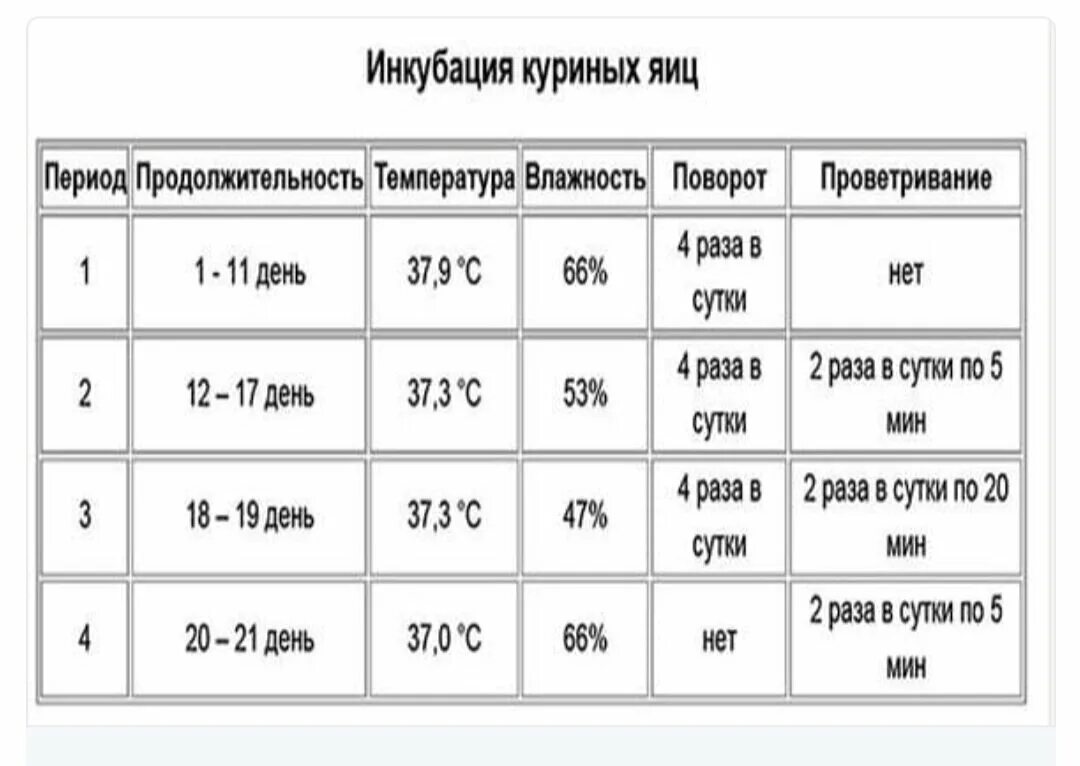 Инкубатор несушка температура для куриных. Температура вывода цыплят в инкубаторе таблица. Таблица режима инкубации куриных яиц в инкубаторе Несушка. Инкубация куриных яиц в инкубаторе Несушка на 36 яиц таблица инкубации. Температура в инкубаторе для куриных яиц таблица.