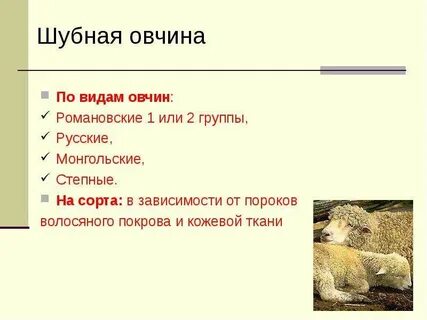 Овчинный почему