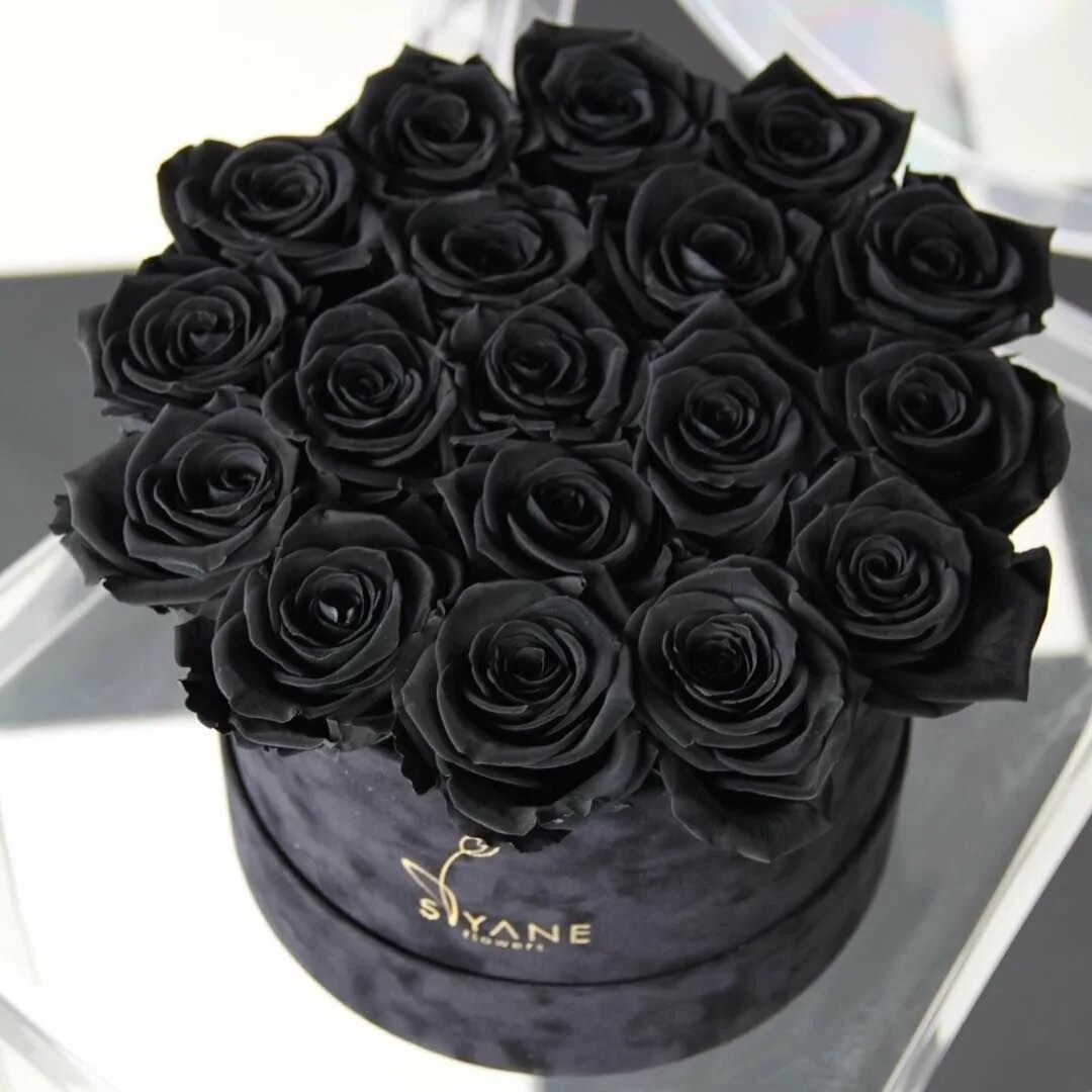 Черный подборка. Черные розы букет. Букет черных роз Эстетика. Черные розы Эстетика. Эстетика чёрного цвета.