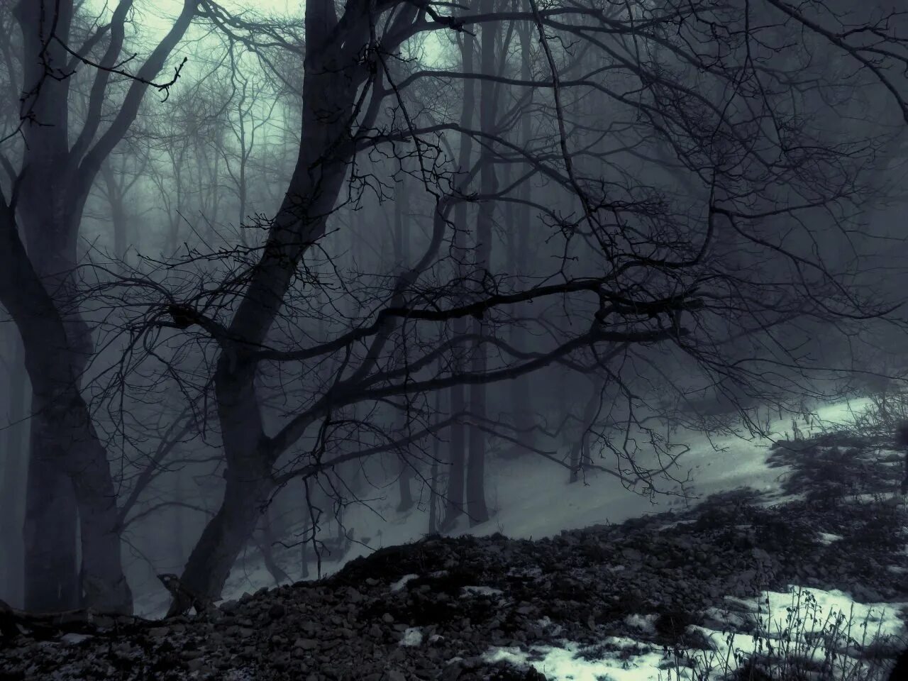 Мрачный лес. Мрачный пейзаж. Мрачные пейзажи Эстетика. Хмурый лес. Направо и налево чернели таинственные пропасти