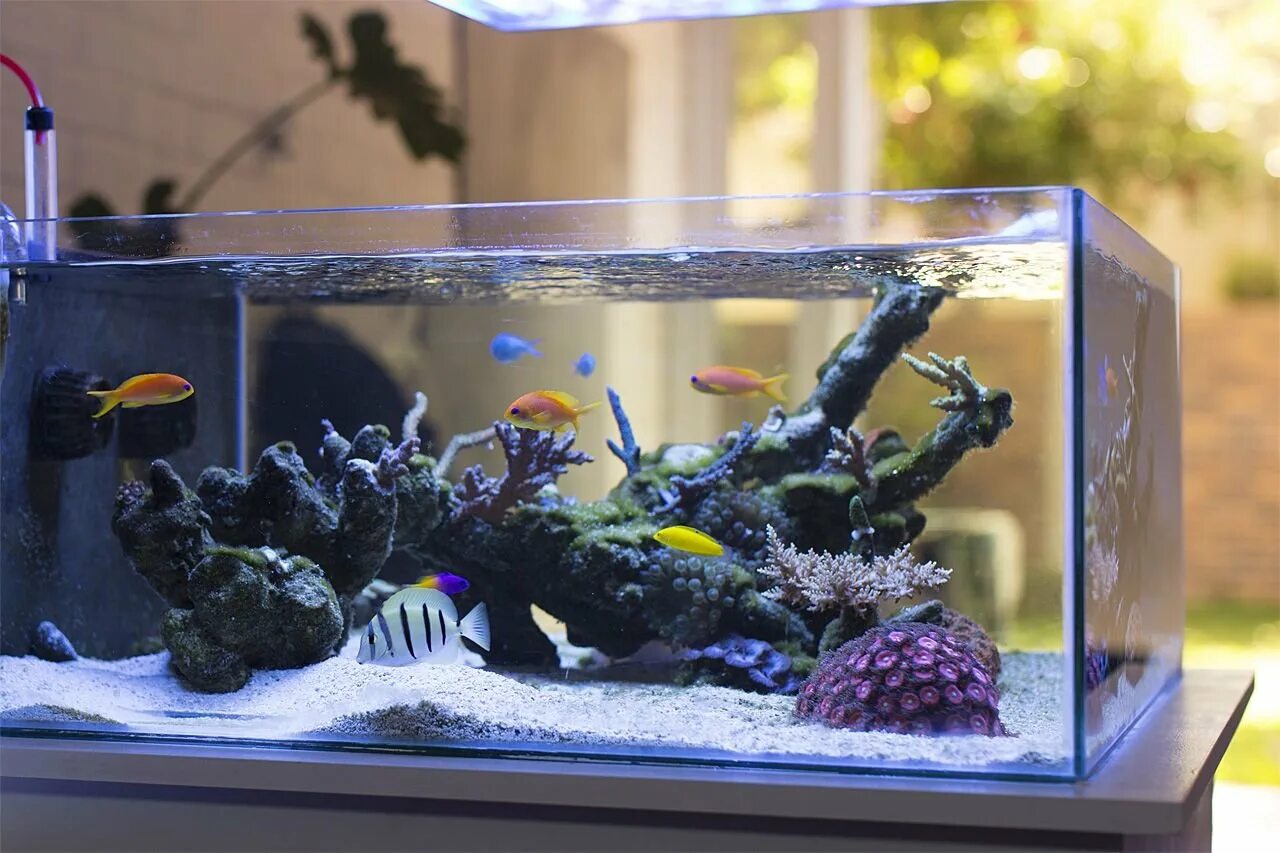 Самоделки для аквариума. 180 литровый аквариум. Как собрать аквариум. Аквариум для красноухой черепахи. Склейка аквариума.