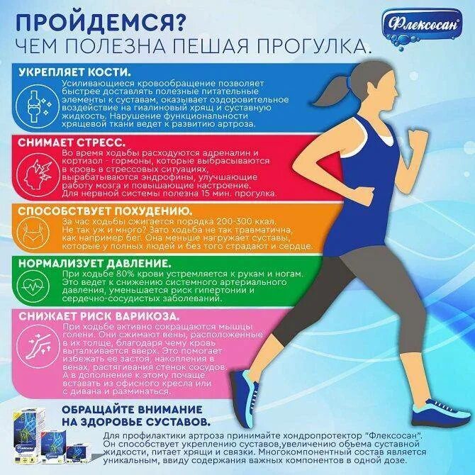 Гуляем 1 раз в день