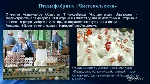 Птицефабрики список