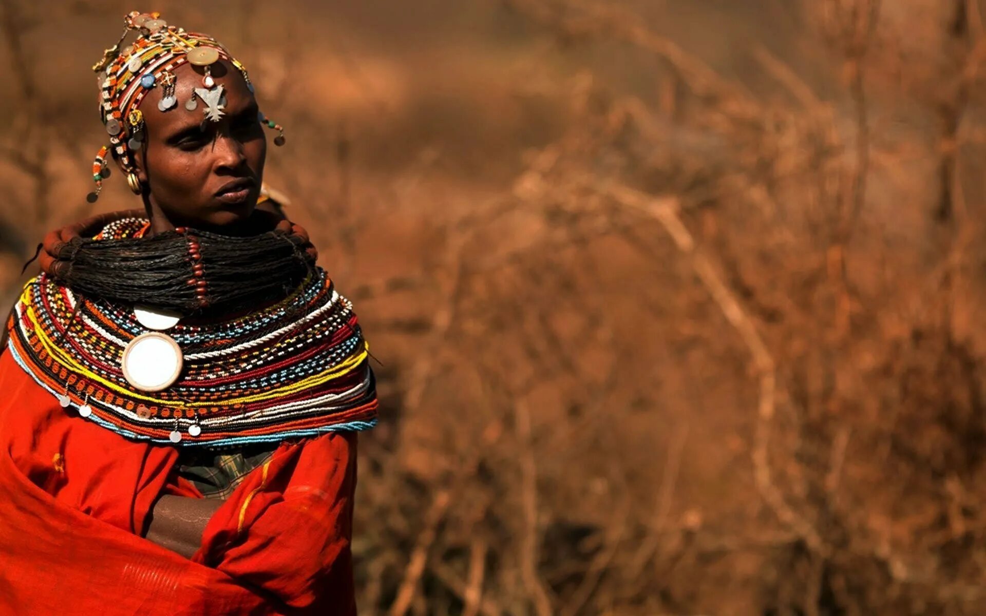 Племя. Женщины Масаи в Кении. Масаи Самбуру мужчины. Украшения воинов Масаи. Племя Масаи в Кении девушки.