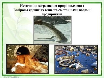 В тексте как живая вода становится мертвой описаны источники загрязнения природных вод схема