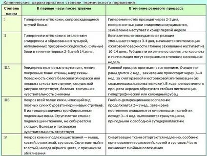 Степень характеристика