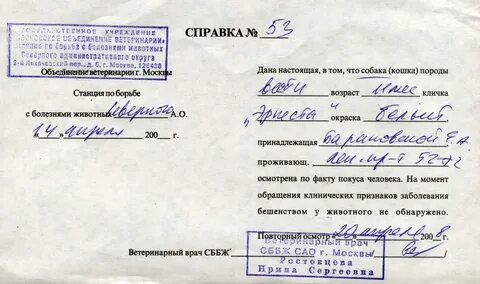 Справок срочно