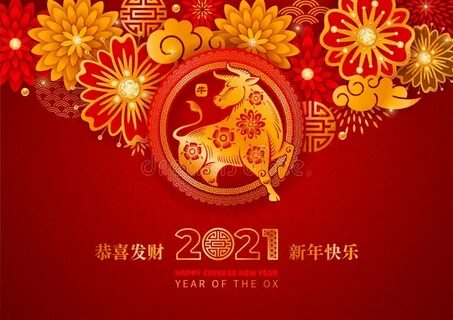 Chinese new year 2025