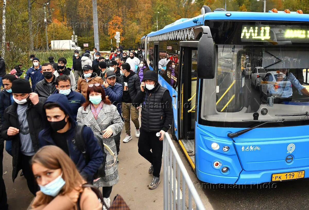 3000 мигрантов в новогоднюю ночь