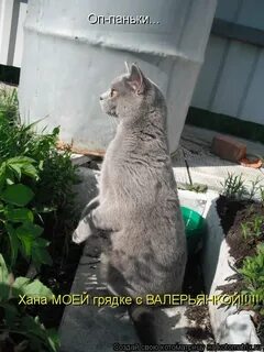 Сосед не смотрит на меня