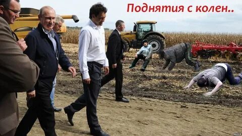 Поднять с колен