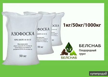 50 кг 6