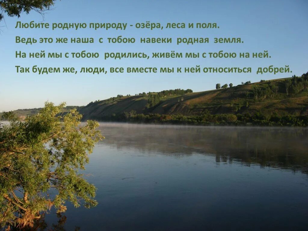 Любите родную природу озера леса и поля. Стихотворение любите родную природу. Высказывания о природе. Стихотворение о родном крае. Стихотворение живая природа