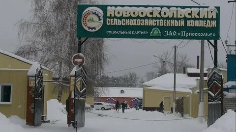 Новооскольский колледж