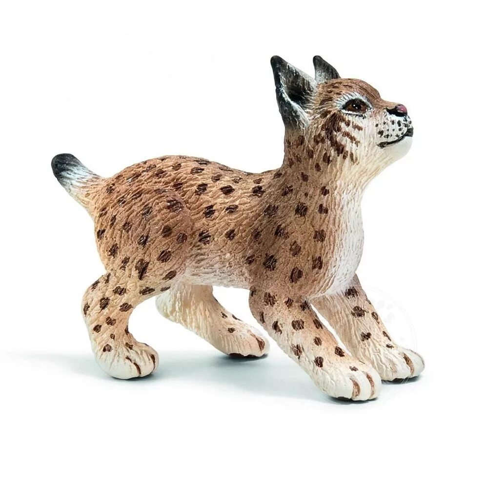 Дикие животные купить. Фигурка Schleich Рысь 14822. Рысь шляйх. Рысенок шляйх. Фигурки рыси шляйх.