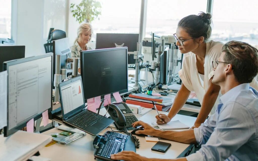 Госзакупки компьютеры. Программное обеспечение картинки. Компьютеризация. Zoom company. Единая информационная система.