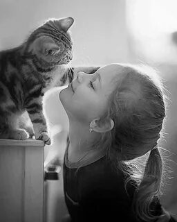 Коты любящие детей