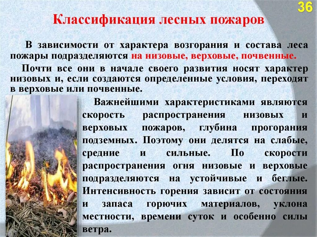 Что является целью классификации пожаров. Классификация природных пожаров. лесные пожары подразделяются на. классификация лесных пожаров таблица. низовые пожары подразделяются на.