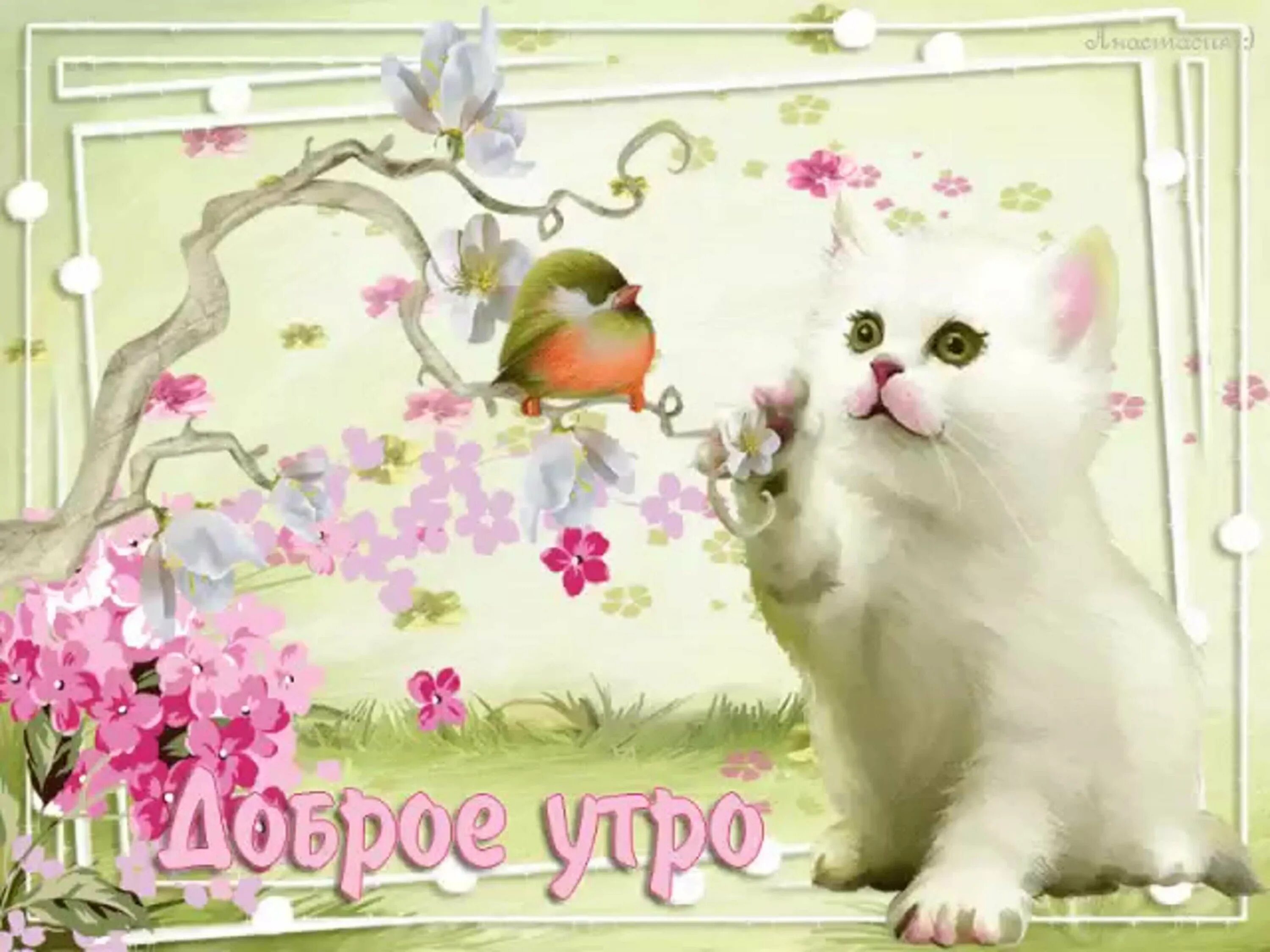 Доброе утро смешные мерцающие. Открытки с добрым утром с котятами. Открытки с добрым утром весенние. С добрым утром открытки анимация. Очень красивые открытки с добрым утром.