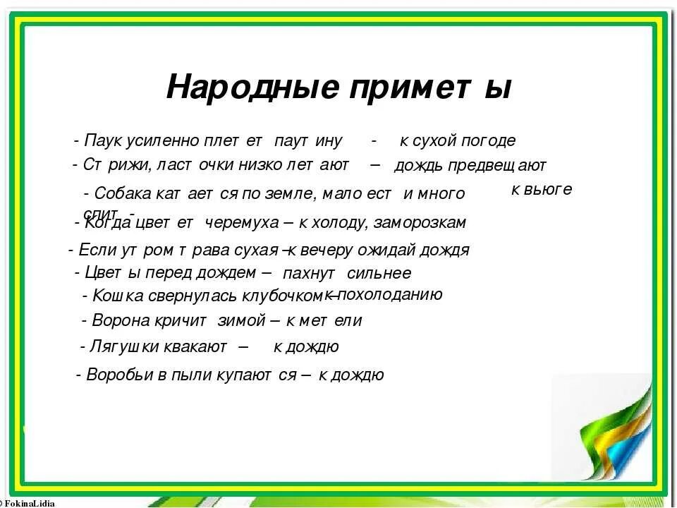 Увидеть дома паука примета. Пауки народные приметы. Паук примета. Увидеть паука примета. Примета паук спускается вниз.