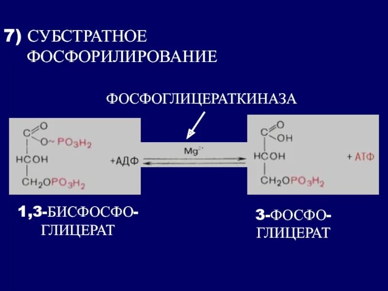 Субстратное фосфорилирование в гликолизе. Типы субстратного фосфорилирования. пути синтеза атф субстратное фосфорилирование. субстратное фосфорилирование схема. механизм субстратного фосфорилирования.