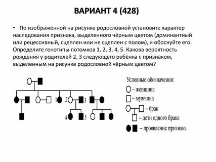Родословная рецессивное сцепленное с полом