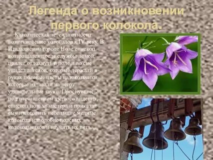 Описание мины колокольчик