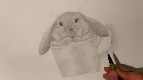 Видео как нарисовать кролика