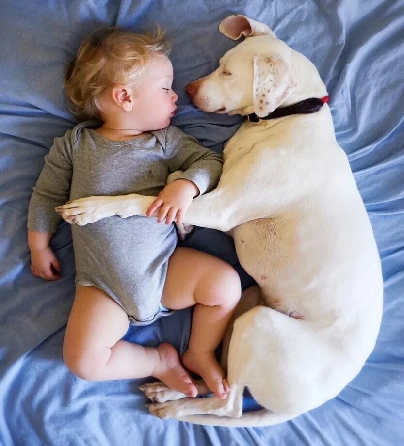 Порода которая любит детей. Собака и младенец. Собака для детей. Маленькие собаки для детей. Собаки с маленькими детьми.