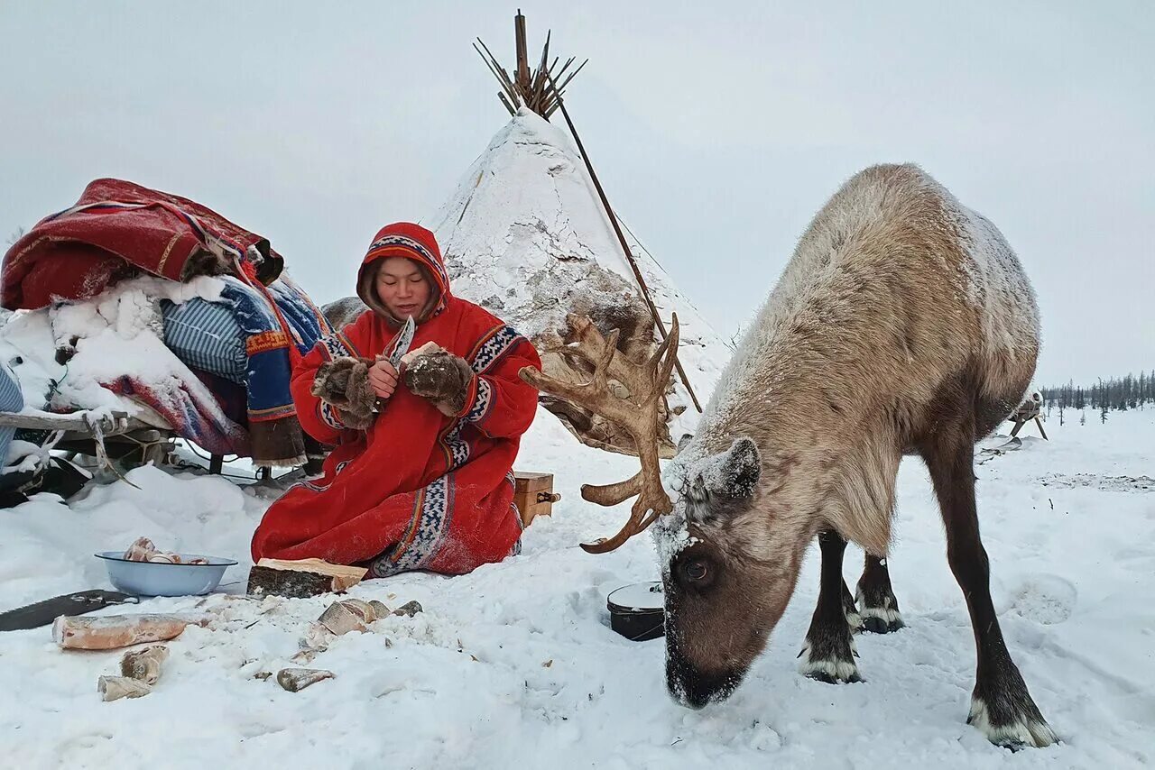 Крайнем севере а также в. Зима на крайнем севере.