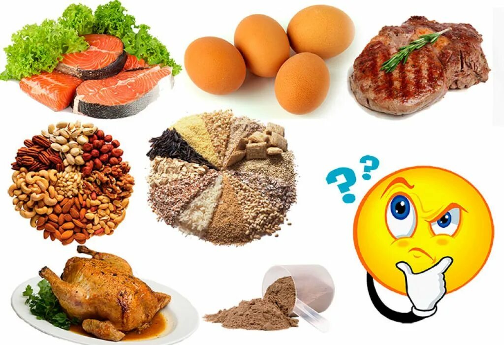 Пищевой белок. Белки продукты. Белки в организме человека. Белки в продуктах питания.