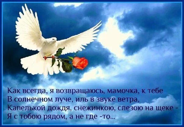 В память о сыне. Открытки в память о сыне. Стихи в память о сыне. Стихи памяти погибшего сына.