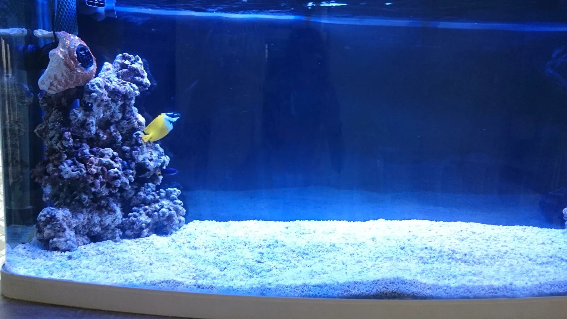 Aquarium перевод