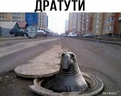 Дадуть