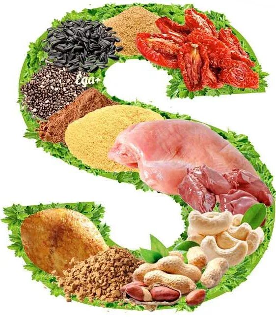 Где содержится сера. Серные продукты питания. продукты богатые серой. источник серы в продуктах. продукты в которых есть сера.