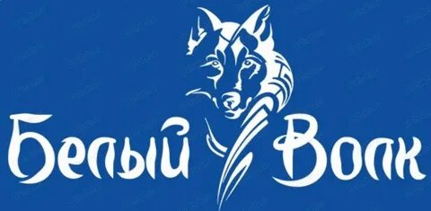 Белый волк калининград