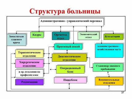 Коммерческий отдел больницы