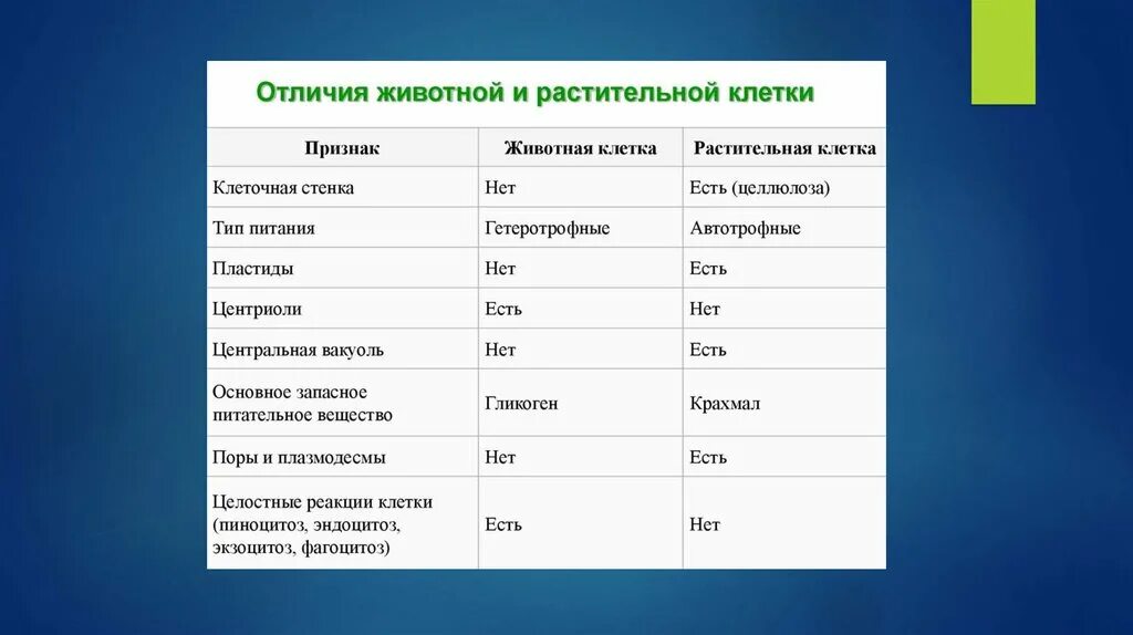 Растительная клетка сходства и различия. Отличие клеток растений от клеток животных. Тип питания животной клетки и растительной. Отличие растительной клетки от животной клетки. Различия растительной и жиотной кл.