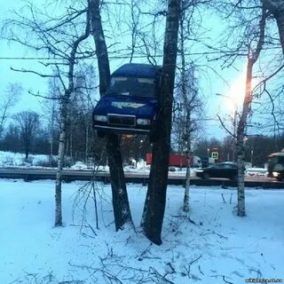 Хочешь я завтра же прилечу