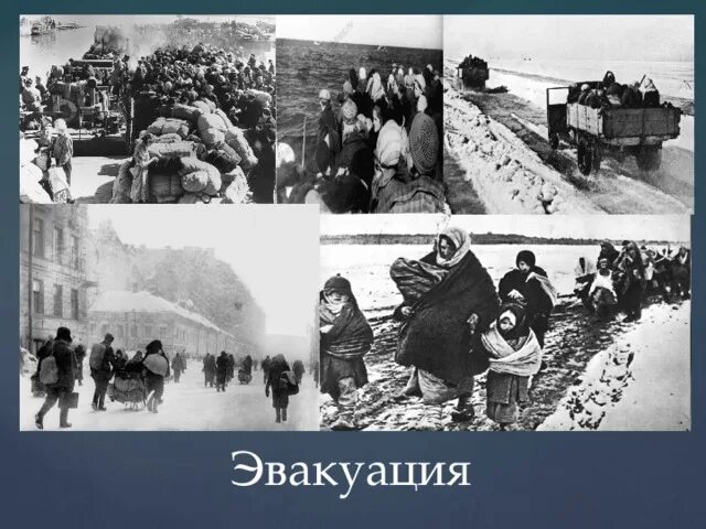 Жизнь эвакуированных