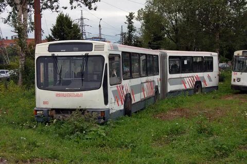 313 криволучье