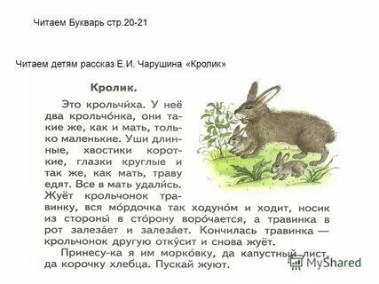 Рассказы про е